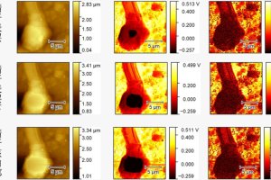 医学观测—太赫兹近场系统应用